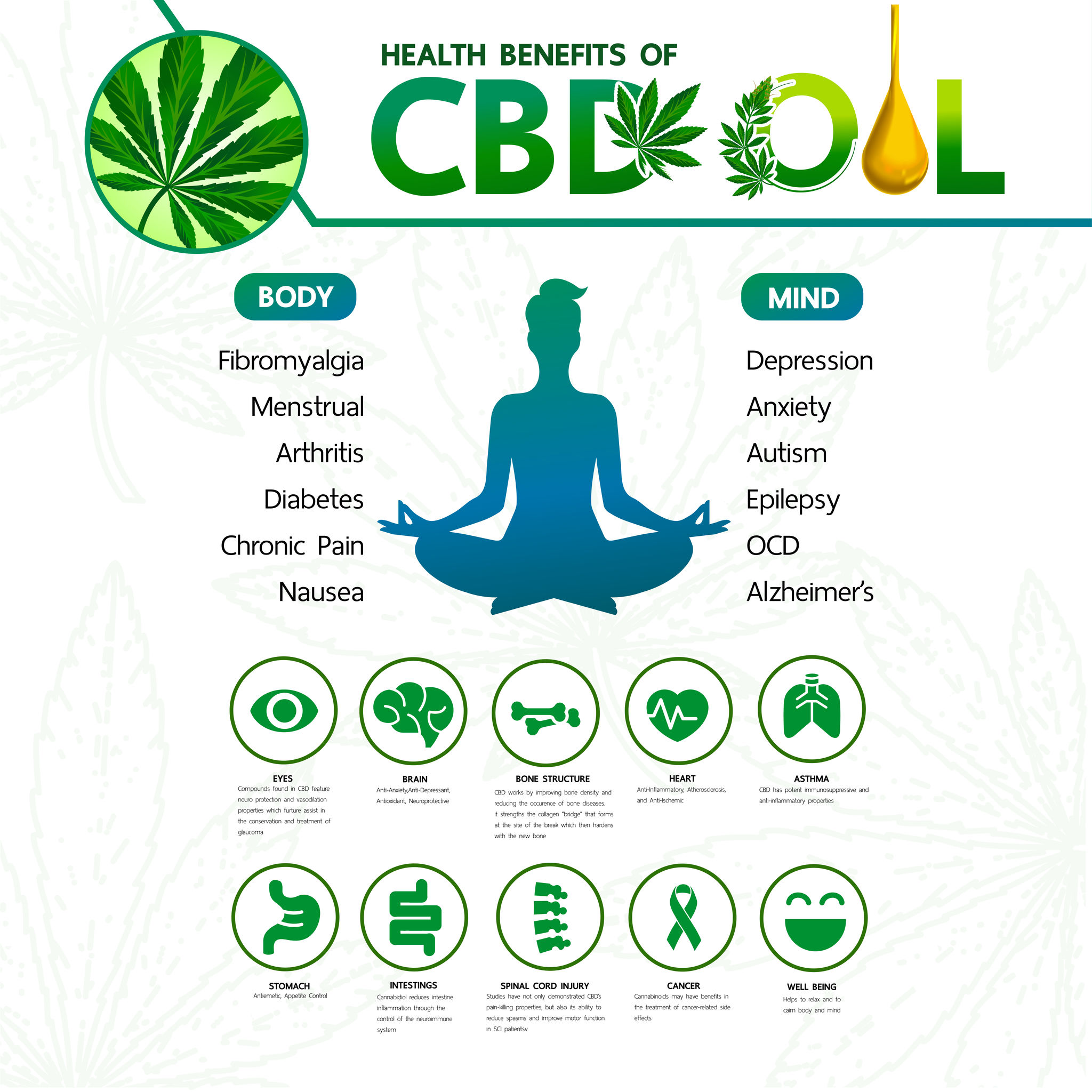 cbd2 CBD oil bottle